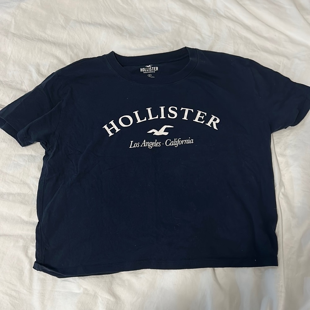Hollister California T-Shirt (Small)